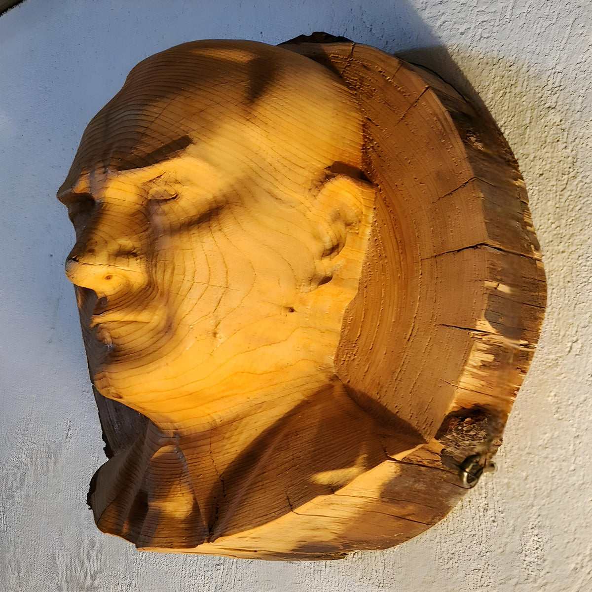 Custom Wood Bust